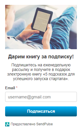 Пример формы лид-магнита