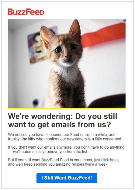 Reactivation email