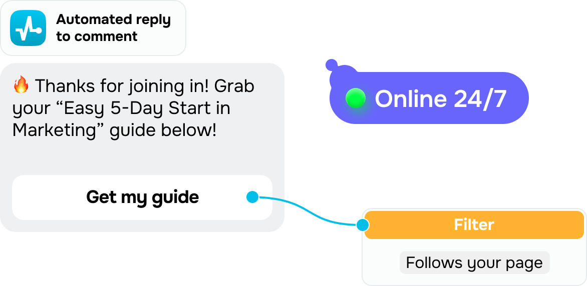 Attract new followers 24/7