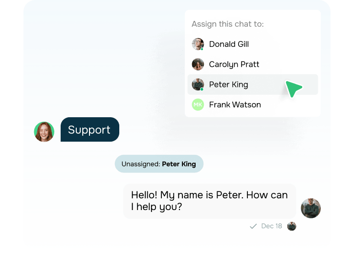 TikTok chatbot for support